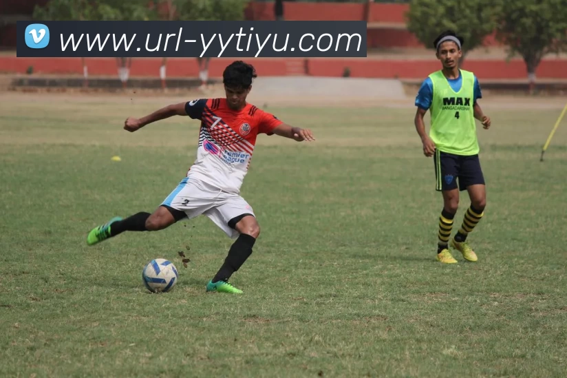 易游体育平台生态图