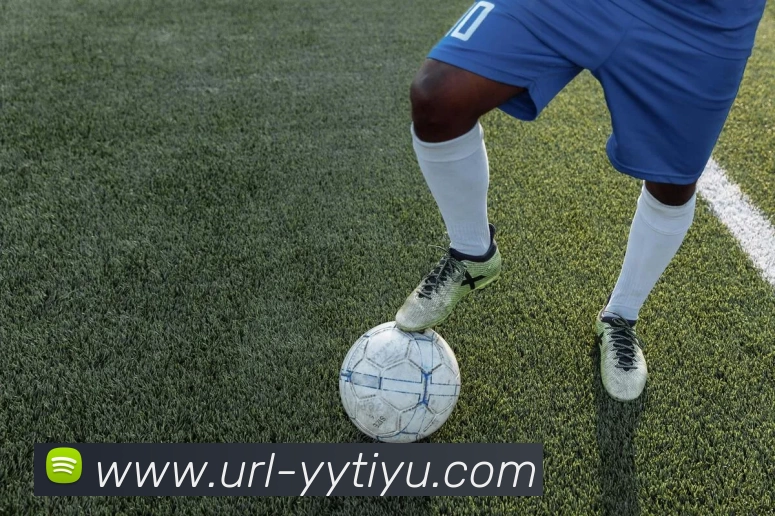 易游体育全站App